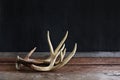 Pair of Real Deer Antlers