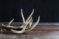 Pair of Real Deer Antlers