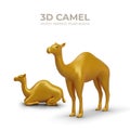 Pair of realistic golden camels. Dromedary in different positions, standing and lying down Royalty Free Stock Photo