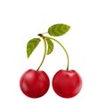 Pair Realistic Pulpy Cherries with Green Leaves