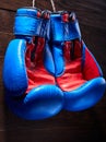 A pair of red and blue boxing gloves hang against wooden wall. Royalty Free Stock Photo