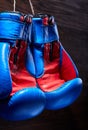 A pair of red and blue boxing gloves hang against wooden wall. Royalty Free Stock Photo