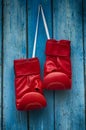 Pair of red boxing gloves Royalty Free Stock Photo