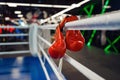 Pair of red boxing gloves hanging on a ropes Royalty Free Stock Photo