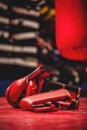 Pair of red boxing gloves Royalty Free Stock Photo