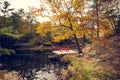 A pair of red chairs on a cottage dock