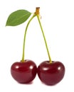 Pair of red cherries with green leaf Royalty Free Stock Photo