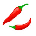 Pair red chili pepper vector illustration. Isolated white. Spicy seasoning for cooking in kitchen. Royalty Free Stock Photo