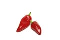 Pair of red chilli peppers on white background