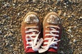 A pair of red dirty sneakers on soil