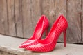 Pair of red high heel shoes Royalty Free Stock Photo