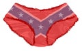 Rebel Flag Isolated Knickers