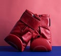 Pair of red leather boxing gloves on a blue background Royalty Free Stock Photo