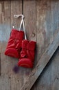 Pair of red leather boxing gloves hanging on a nail Royalty Free Stock Photo