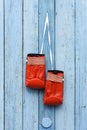 A pair of red leather boxing gloves hanging on a white cord Royalty Free Stock Photo