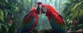 Pair of red macaws in the jungle Royalty Free Stock Photo