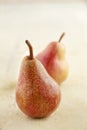 Pair of Red Pears on Painted Rustic Wooden Table