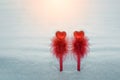 Pair of red pens with a heart shaped decoration symbolise love on snow background. Valentines day