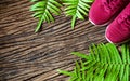 Pair of red running shoes laid on a grunge wooden floor background with nature ferns, top view with copy space Royalty Free Stock Photo