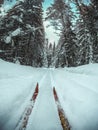 Pair of red skis riding on cross-country skiing track in snowy winter forest. Close up point of view Royalty Free Stock Photo