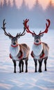 A Pair Of Reindeer With Festive Collars In A Snowy Field At Dawn. Generative AI