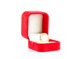 Pair ring in a gift red box