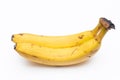 A pair of ripe bananas on a white background. Two bananas are overripe and attached to the stalk. They have brown and black spots Royalty Free Stock Photo