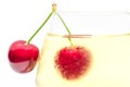 Pair of ripe cherry berries on wineglass