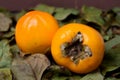 A pair of ripe persimmons on a pile of dried persimmon leaves
