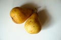 Pair of ripe yellow fruits of pear