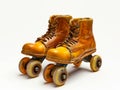 A pair of roller skates on wheels