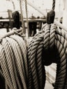 A pair of ropes on board an old sailing ship