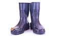Pair rubber knee-boot Royalty Free Stock Photo