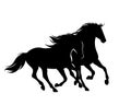 Pair of running horses black and white vector silhouette Royalty Free Stock Photo