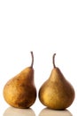 A pair of Russett pears