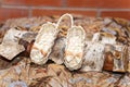 Pair of Russian souvenir wicker shoes for children on birch log