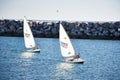 Pair of Sailors Sport Sailing at a Marina in California