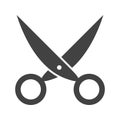 Pair of Scissors I Royalty Free Stock Photo