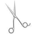 Pair of Scissors Vector Image Royalty Free Stock Photo