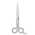 Pair of Scissors Vector Image Royalty Free Stock Photo