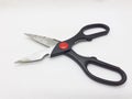 A pair of scrissors for cutting in craftmanship and cooking Royalty Free Stock Photo