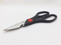 A pair of scrissors for cutting in craftmanship and cooking Royalty Free Stock Photo