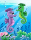 Pair of sea horses Royalty Free Stock Photo