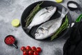 Pair of Seabream or dorado raw fish on grill pan with ingredients on grey white textured background, side view