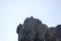 Pair of seagulls that have nested in the clifftop along the coast. Birds. Royalty Free Stock Photo