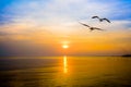 Pair of seagulls in sky at sunset in Bang Pu, Thailand