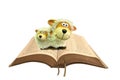 Pair of sheep on open holy bible