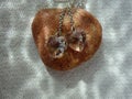Pair of shiny clear heart shaped jewels on natural stone