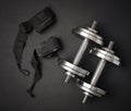 pair of shiny steel typesetting dumbbells for bodybuilding