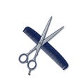 A pair of silver scissors is crossed with a dark blue plastic comb. The scissors feature Royalty Free Stock Photo